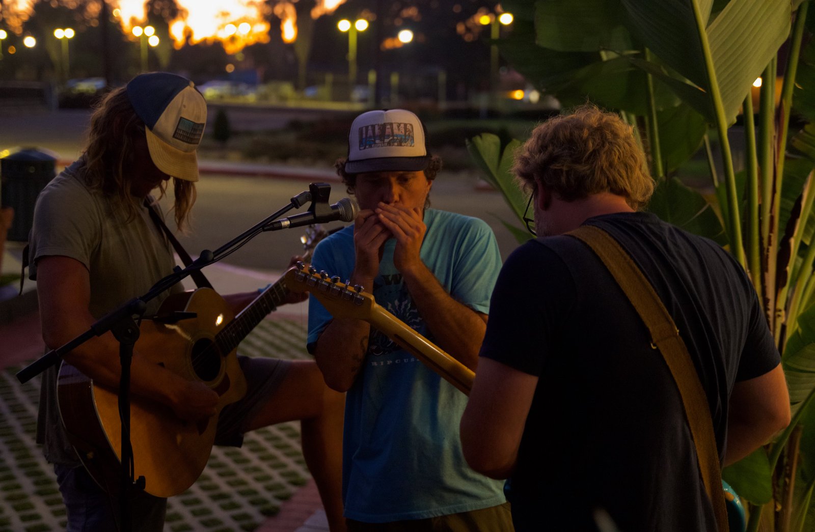 Moon Bottle artist photo featuring a harp instrument